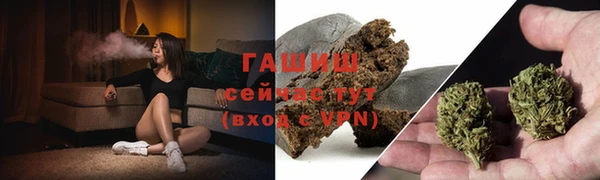 гашик Переславль-Залесский