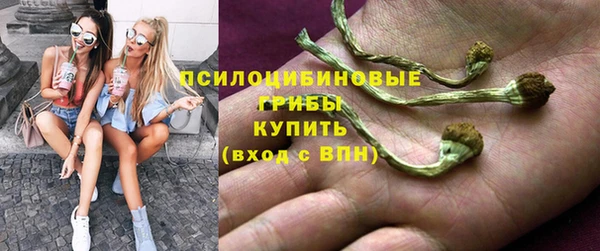 прущие крисы Аркадак