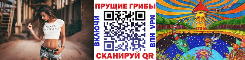 Галлюциногенные грибы Cubensis дарк нет клад Верхняя Тура наркошоп